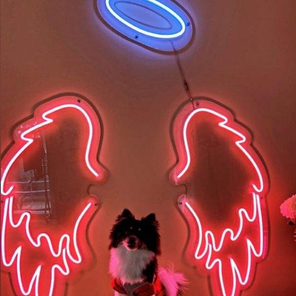 Light Up Angel Wings With Halo Led Neon Wall Art By Custom - Angel Wings Led Wall Light