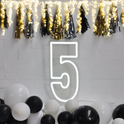5 LED Neon Number Lights