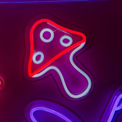 Magical Fairy Toadstool Mushroom