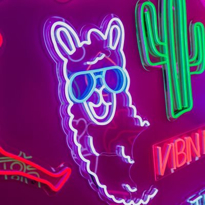 Llama Neon Light