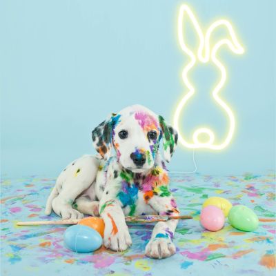 Easter Bunny Line Art 