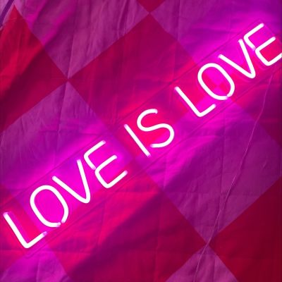 Love is Love Light Up Sign