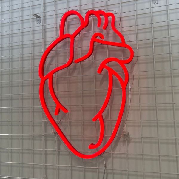 Red anatomical heart Custom Neon® sign on clear acrylic backing