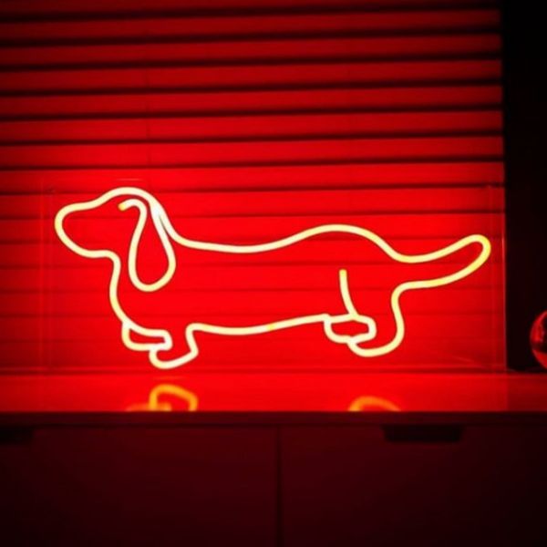 Dachshund LED Neon Art shown in red on a shelf - photo from CustomNeon.co.uk