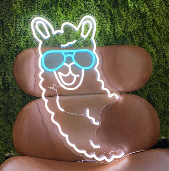 Llama neon light shown on a chair against a green wall - photo from CustomNeon.co.uk