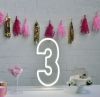 * 3 * Neon Number Sign for Birthday Parties, Anniversaries & Events
 - photo from CustomNeon.com