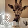 The Letter R in gorgeous LED Neon - and a friendly giraffe - photo CustomNeon.co.uk