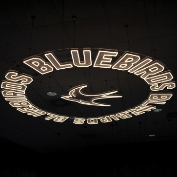 Branded ceiling sign by Custom Neon® @benchmarkdesigns