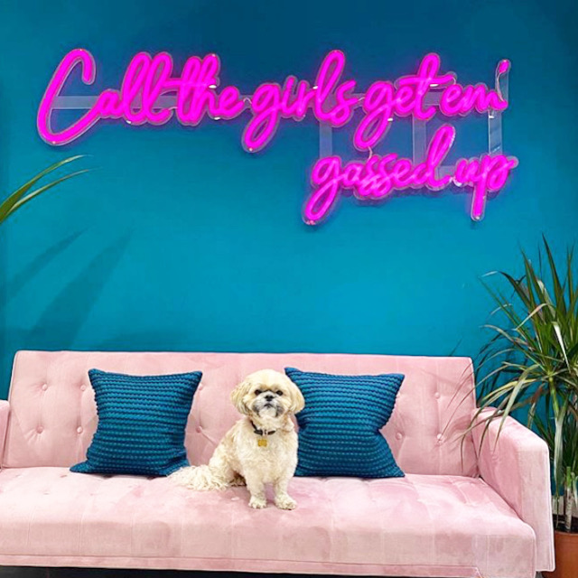 Call the Girls Get 'em Gassed Up pink Custom Neon® song lyric sign