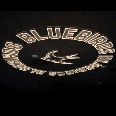 Cardiff City FC Bluebirds sign by Custom Neon® hanging from the ceiling of the VIP viewing area