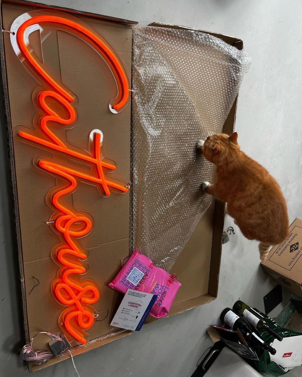 Custom Neon® orange bespoke sign Cathouse @p00kyn3ss