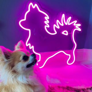 Pink sillouette artwork of a chihuahua by Custom Neon® @adventuresjuniorelvisbeaunancy