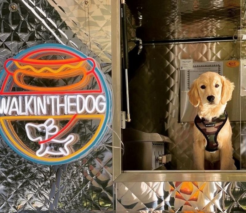 Custom Neon® logo @walkinthedog_hotdogtruck