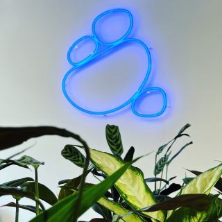 Blue Custom Neon® logo sign @carnstone_partners