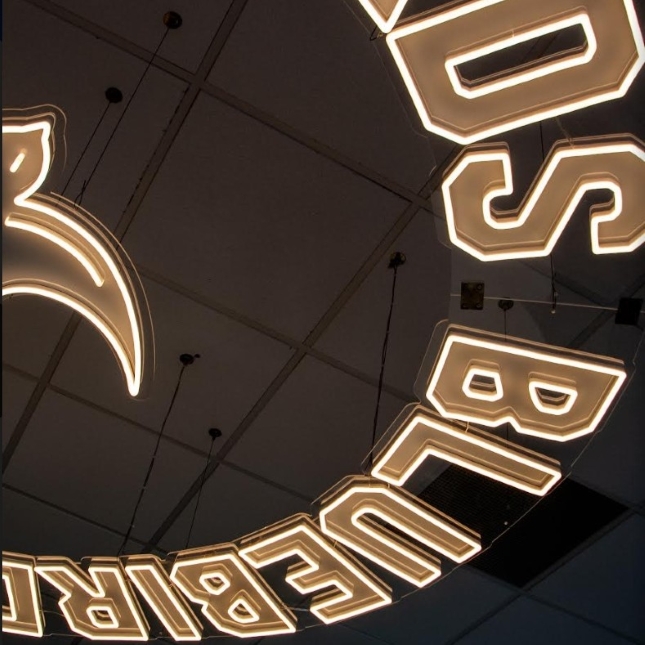 Custom Neon® circular logo sign suspended from the ceiling with hanging wires @cardiffcityfc