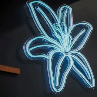 Custom Neon® mint green brand art flower @cosmeticrefinementclinic