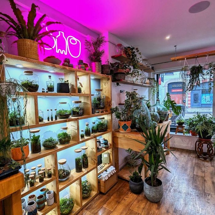 Pink Custom Neon® artwork above the merchandise in the OME Home plant store in Bristol