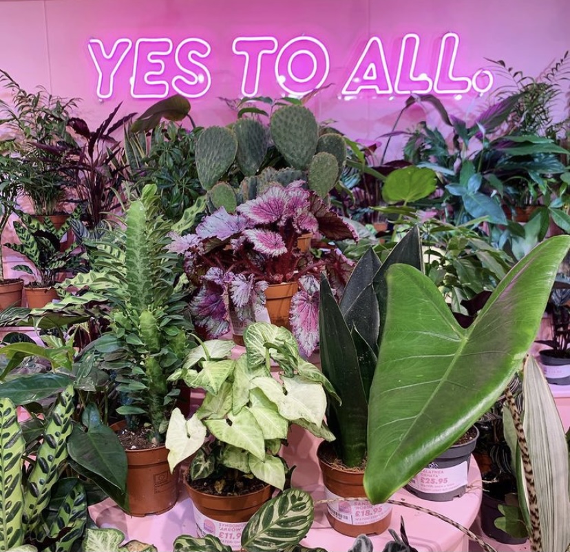 Custom Neon® pink Yes To All sign @glass_.house