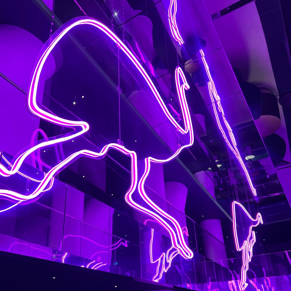 Custom Neon® double sided neon pink emus @wsydneyhotel