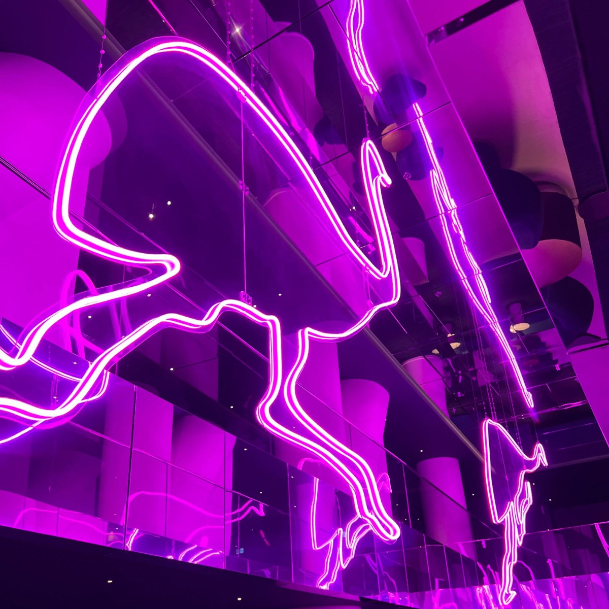 Custom Neon® largest LED neon art installation in the Southern Hemisphere @wsydneyhotel