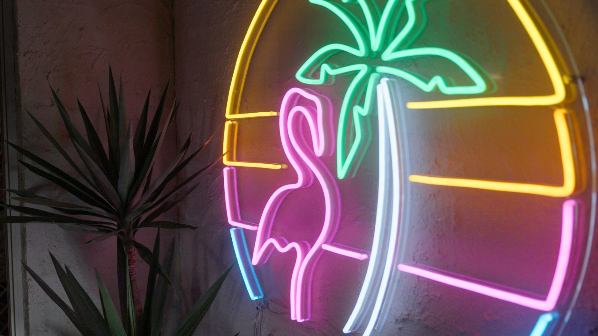 Custom Neon® waterproof flamingo artwork made for the Garden Hustle TV show @ambienceentertainment