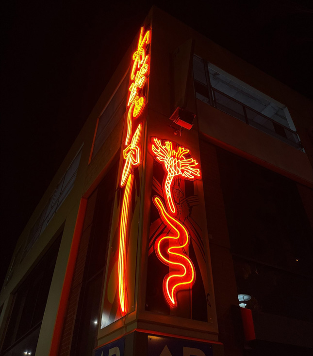 Orange floral artwork called Bright Blooms designed by @george_rose and made by Custom Neon®