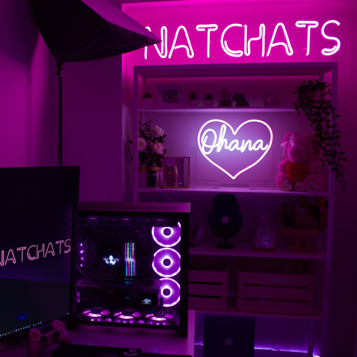 Gamer streaming setup @natchats - signs by Custom Neon®