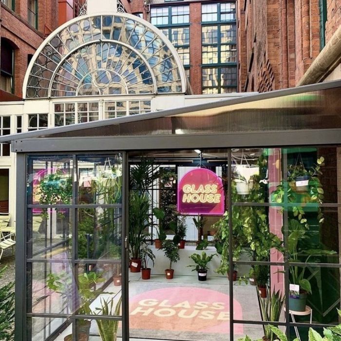Pink Glass House LED neon sign glowing inside a glass conservatory plant shop in Manchester