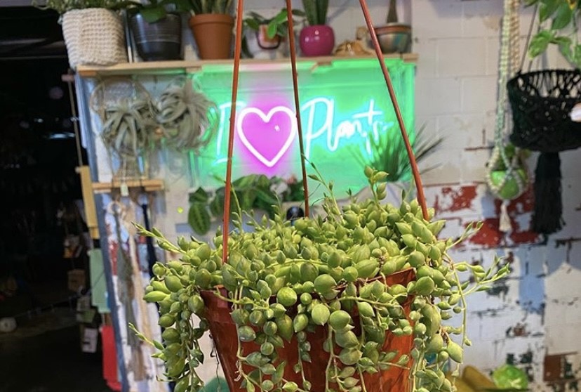 I heart plants Custom Neon® selfie sign @growgiesenplantshop