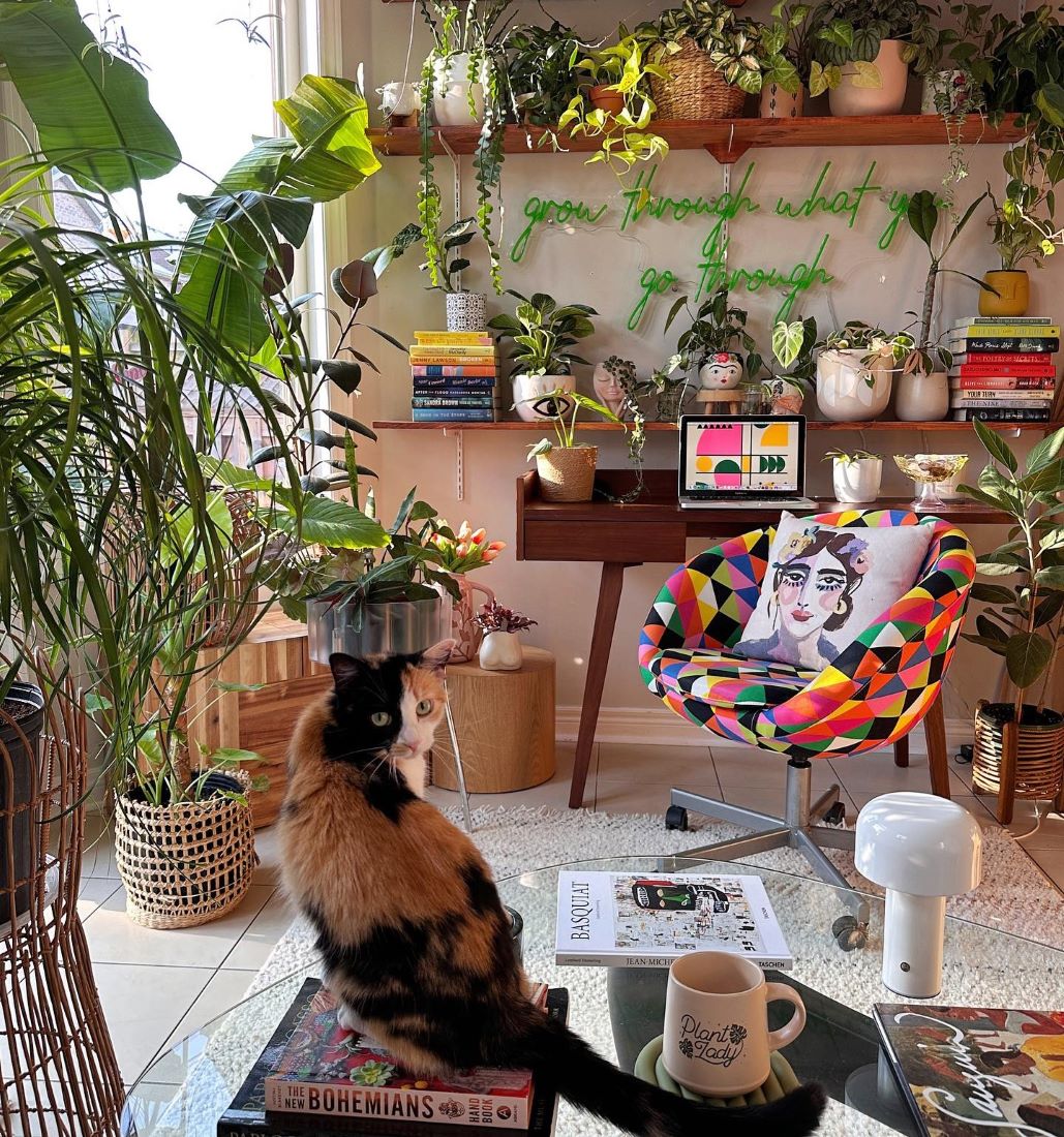 Grow through what you go through Custom Neon® green motivational quote sign @bohome.plantry