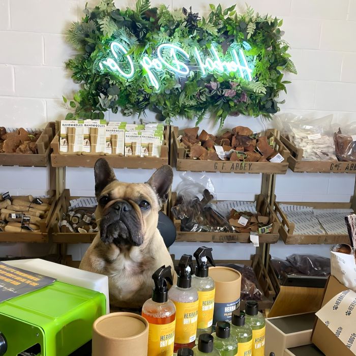 Herbal Dog Co white Custom Neon® sign on a green wall above the merchandise in a pet supply store