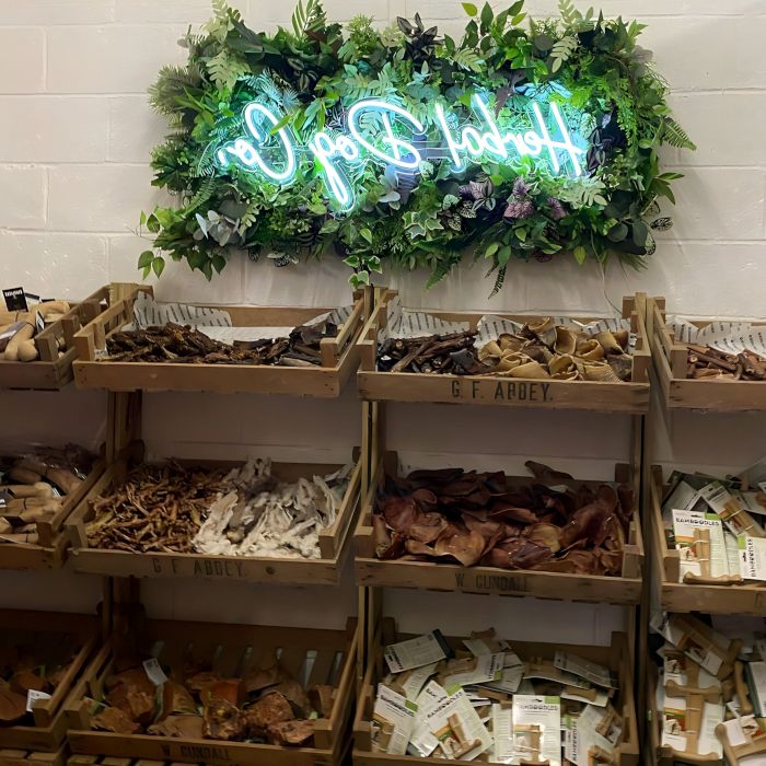 Herbal Dog Co white Custom Neon® sign on a green wall above the merchandise in a pet supply store