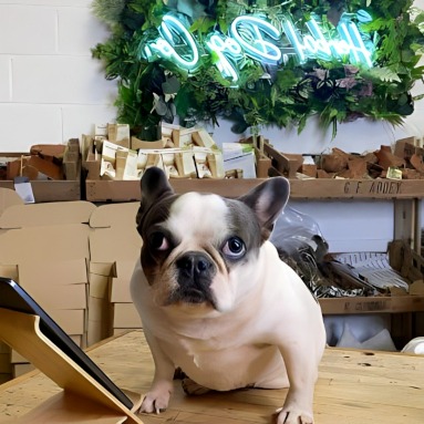 Custom Neon® pet health supplies shop sign above the merchandise @herbaldogco