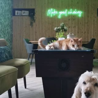 Make Good Choices Custom Neon® quote sign on living room wall @renovationcation