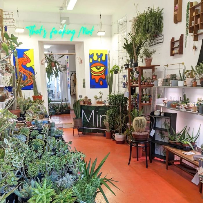 Thats F--ing Mint green LED Custom Neon® sign in the Mint Plants shop in Bristol