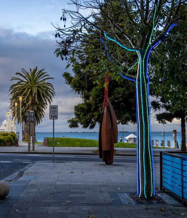 @cityofgreatergeelong pavement trees draped in colourful LED neon rope by Custom Neon®