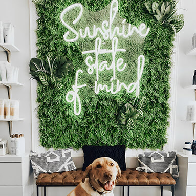 Custom Neon® quote sign on grasswall in hair salon