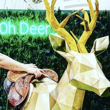 Custom Neon® green Oh Deer light sign as part of the holiday display at @rhodeswaterside shopping mall