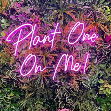 Plant one on me pink LED Custom Neon® sign on a lush greenery wall @mementobelfast