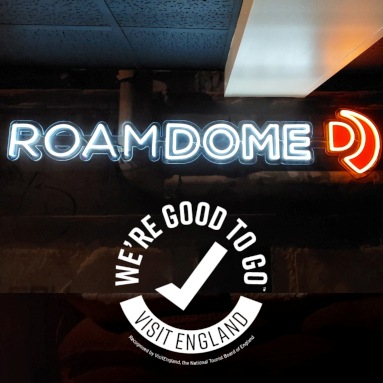 Custom Neon® branded arcade sign @roamdome