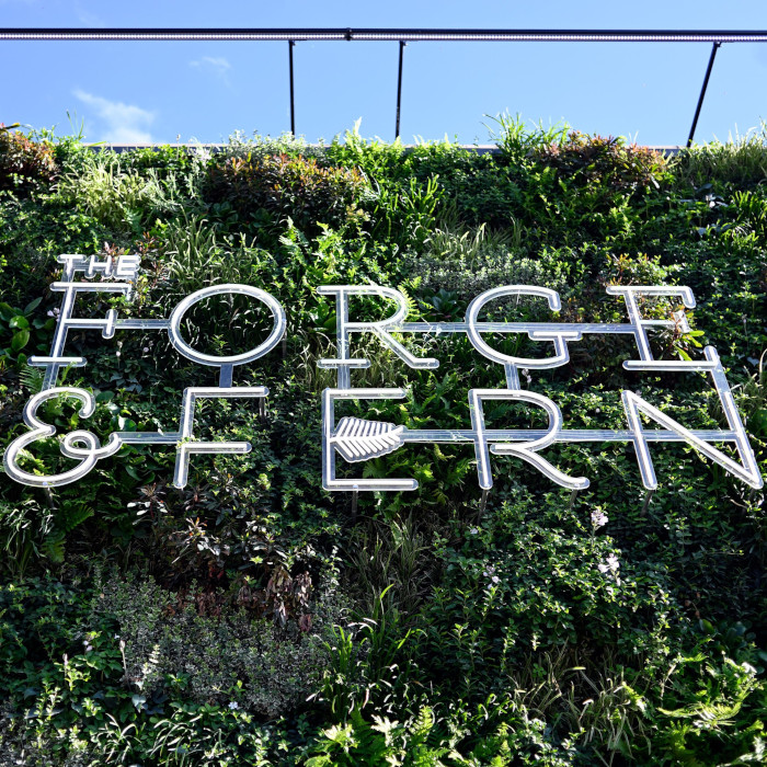 Large Custom Neon® waterproof logo sign on a green wall @theforgeandfern