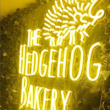 Orange hedgehog bakery logo by Custom Neon®@hedgehogbakery