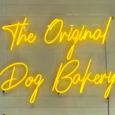 Custom Neon® bright yellow bakery name sign on green wall @theoriginaldogbakery