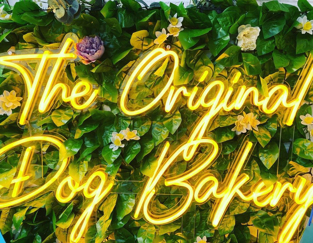 Custom Neon® bright yellow bakery name sign on green wall @theoriginaldogbakery