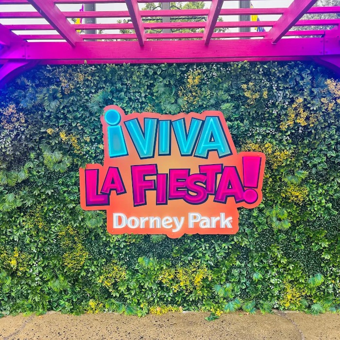 Multicoloured Custom Neon® waterproof sign on grass wall @dorneyparkpr