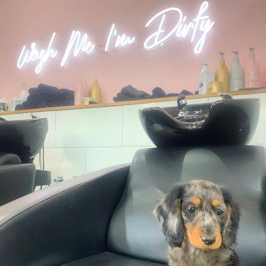 Wash Me I'm Dirty white Custom Neon® hair salon quote sign @elle.and.co