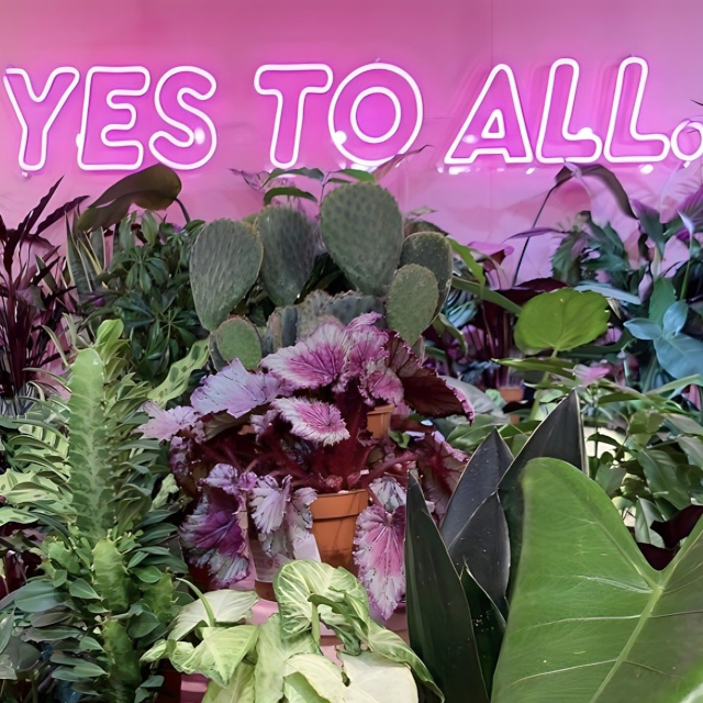 Yes to ALL pink Custom Neon® retail sign on pink wall in plant store @glass._house